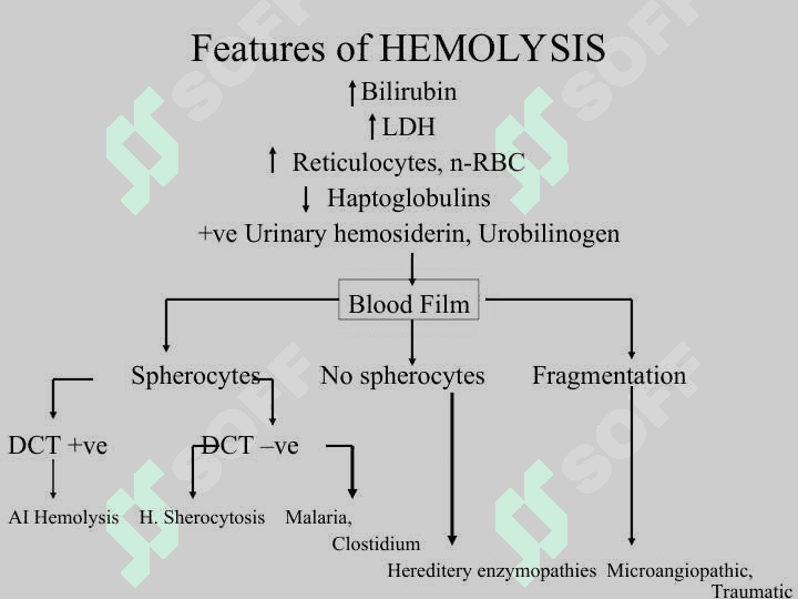 Hemolytic anemia 8