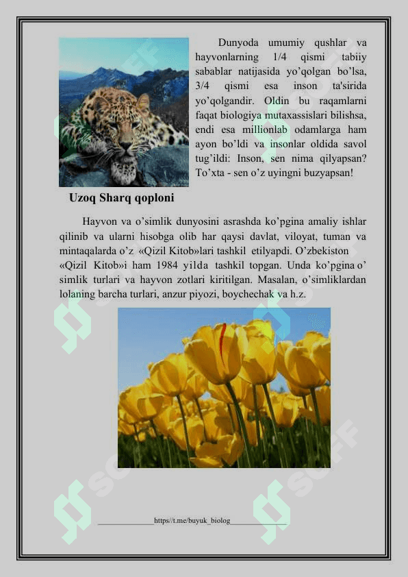 O’ZBEKISTON RESPUBLIKASINING QIZIL KITOBI 7