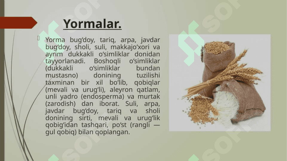 Don va don mahsulotlari 8