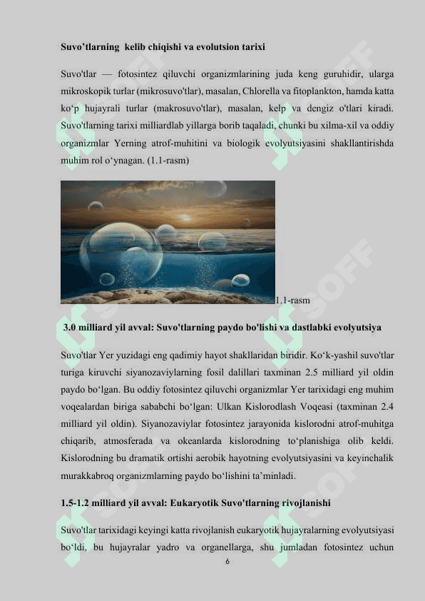SUVO’TLARNING KELIB CHIQISHI VA EVOLUTSIYASI 6
