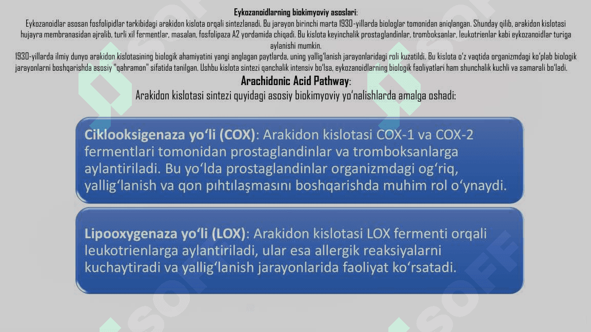 Eykozanoidlar-Paydo-Bolishi-Mexanizmi-Turlari-va-Tasiri 6