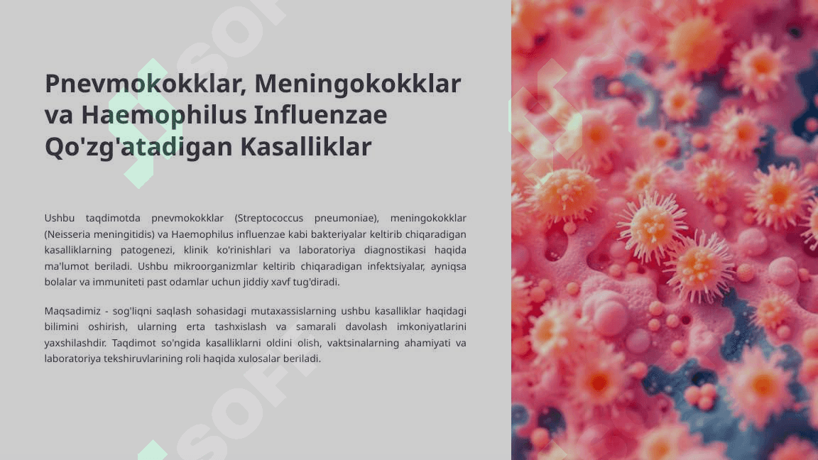 Pnevmokokklar-Meningokokklar-va-Haemophilus-Influenzae-Qozgatadigan-Kasalliklar 3