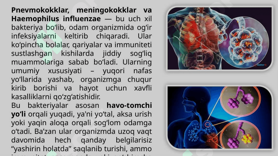 Pnevmokokklar-Meningokokklar-va-Haemophilus-Influenzae-Qozgatadigan-Kasalliklar 4