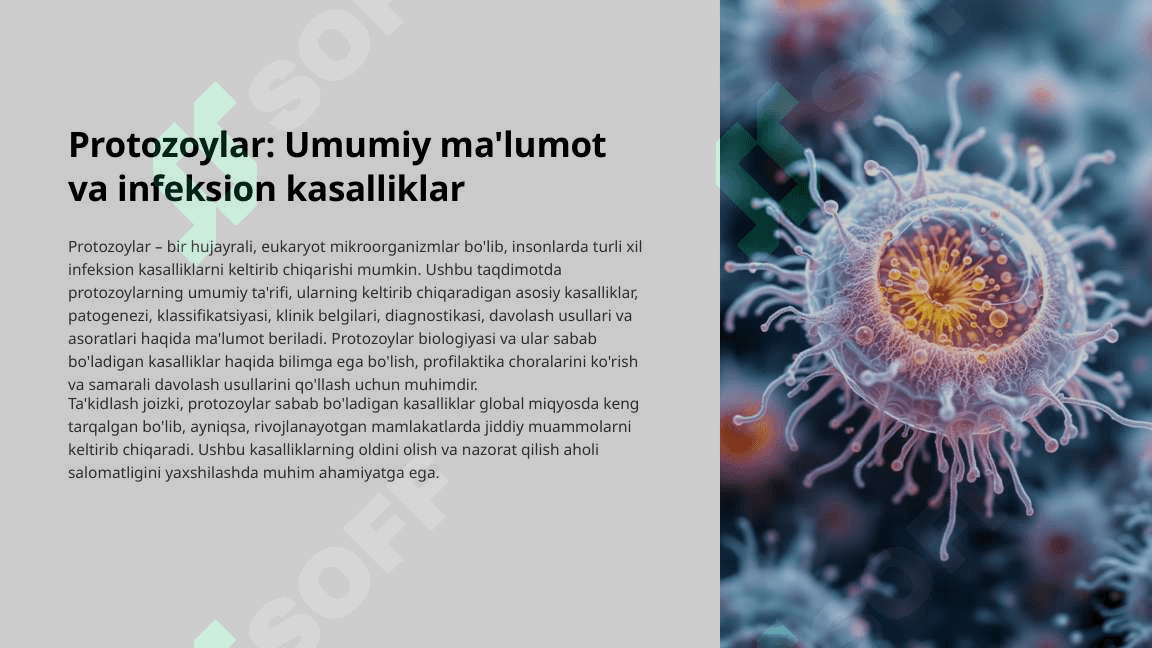 Protozoylar-Umumiy-malumot-va-infeksion-kasalliklar 3