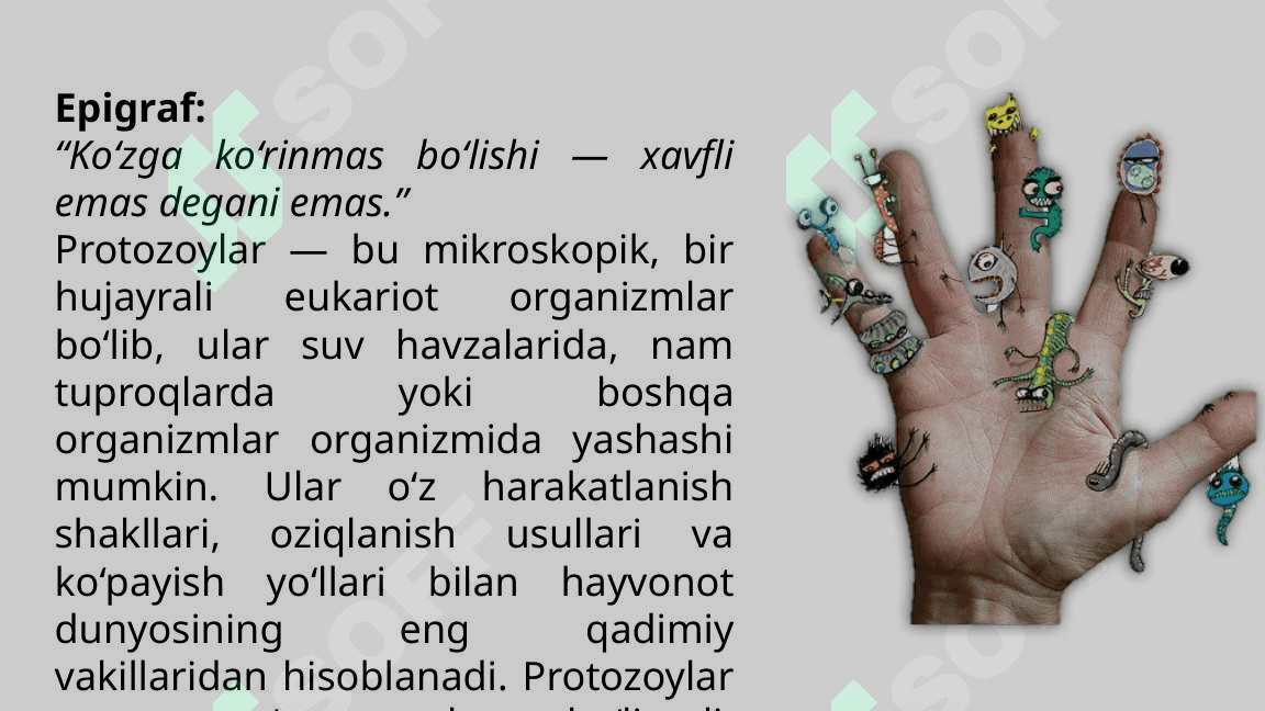 Protozoylar-Umumiy-malumot-va-infeksion-kasalliklar 4