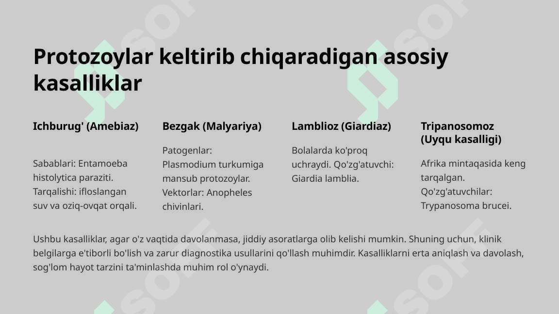 Protozoylar-Umumiy-malumot-va-infeksion-kasalliklar 7