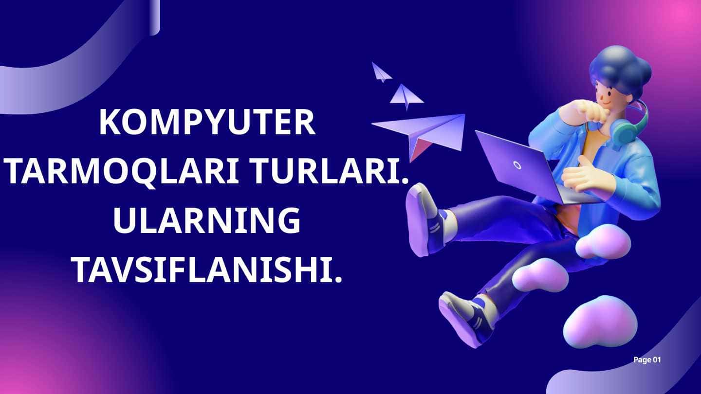 Kompyuter tarmoqlari turlari. Ularning tavsiflanishi.