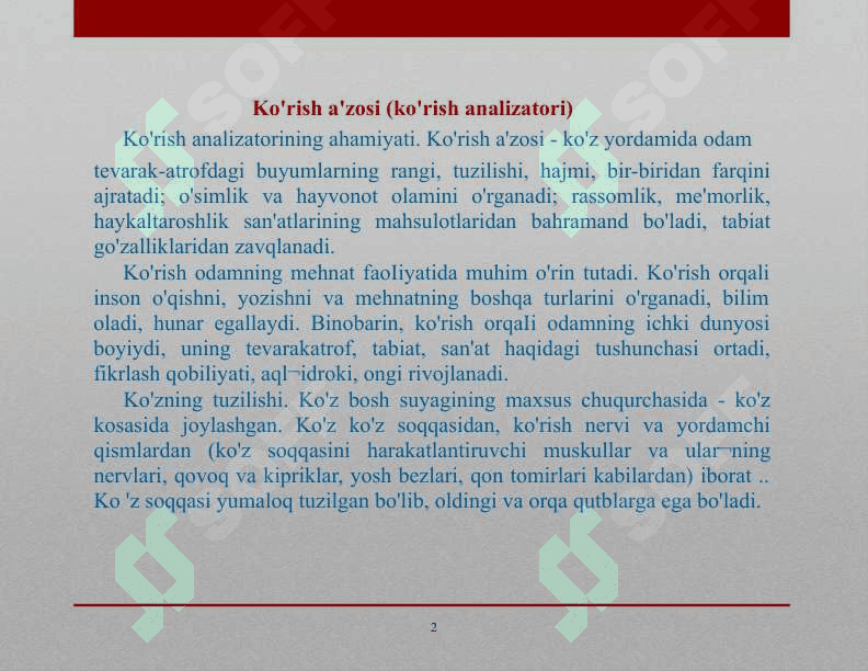TANA HOLATINI SEZISHDA VESTIBULYAR ANALIZATORNING AHAMIYATI 2