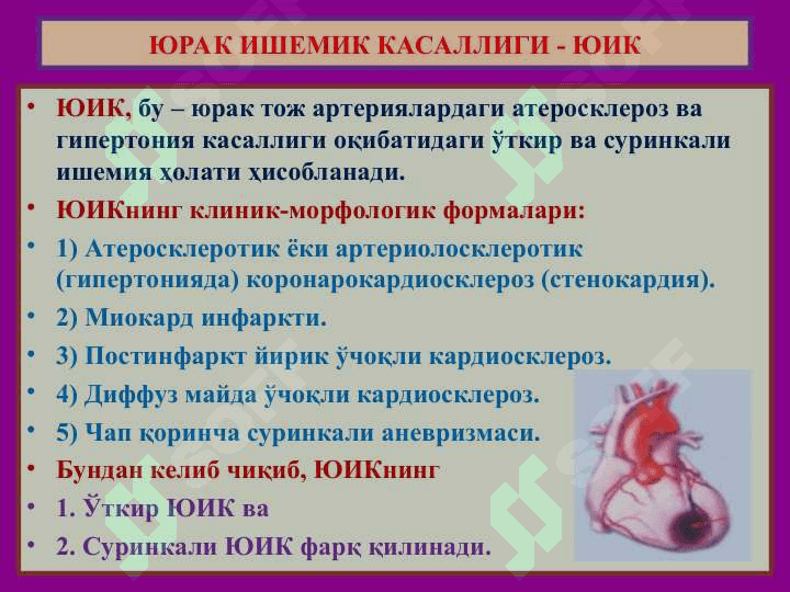 ЮРАК ИШЕМИК КАСАЛЛИГИ - ЮИК 2