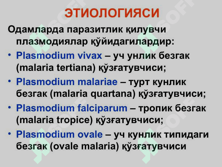 БЕЗГАК (МАЛЯРИЯ, MALARIA) 4