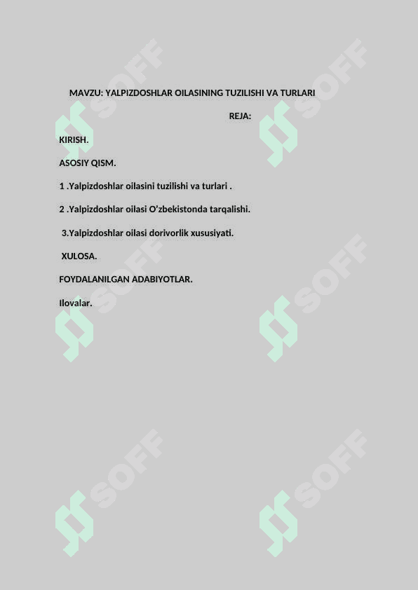 YALPIZDOSHLAR OILASI  kurs ishi  30 listli 2