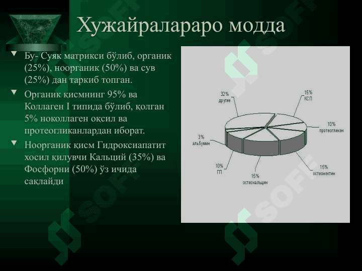 Суяк тўқимасининг  РЕГЕНЕРАЦИЯСИ 8