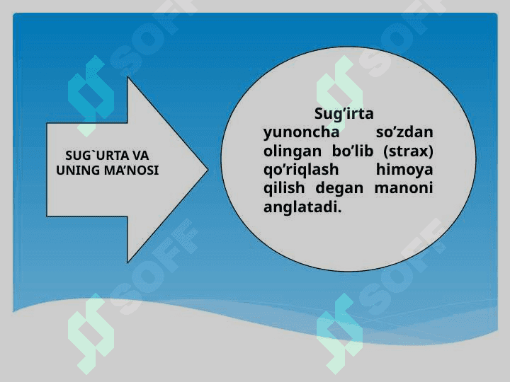 Hayot Sug`urtasi. 4