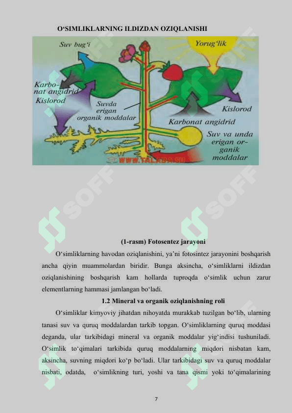 O’simliklarning oziqlanishiga tashqi muhit omillarining ta’siri 7
