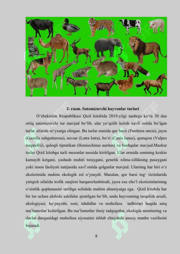 O’ZBEKISTON ”QIZIL  KITOB”GA  KIRITILGAN  SUTEMIZUVCHI  HAYVONLAR 8