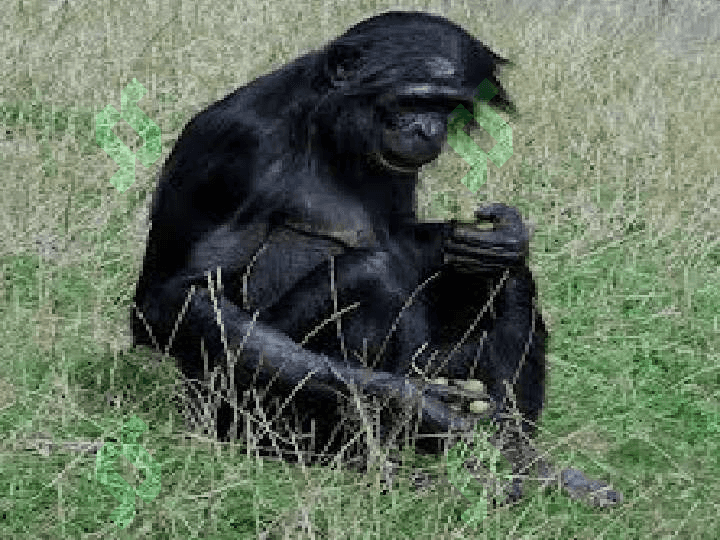 EVOLUTSIYANI ISBOTLASHDA SOLISHTIRMA ANATOMIK FAN DALILLARI 4