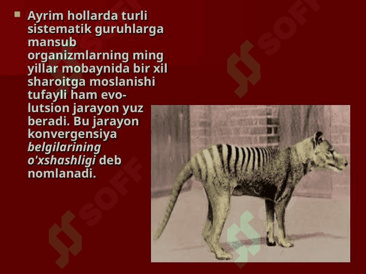 EVOLUTSIYANI ISBOTLASHDA SOLISHTIRMA ANATOMIK FAN DALILLARI 7