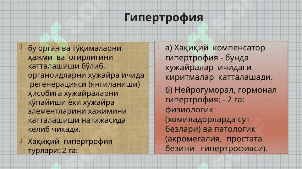 o'sma xujayralarini kelib chiqishi va ahamiyati 3