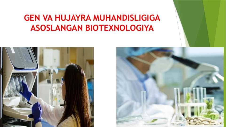 GEN VA HUJAYRA MUHANDISLIGIGA ASOSLANGAN BIOTEXNOLOGIYA