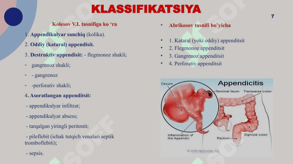 Appenditsit 7