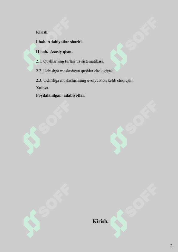 Qushlarning uchishga moslanish.docx 2