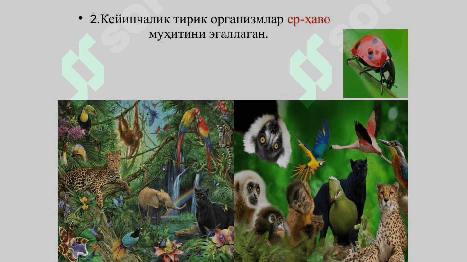 Муҳит ва экологик омиллар 4