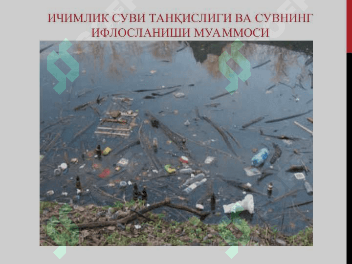 Атроф-муҳитни экологик муаммолари 6