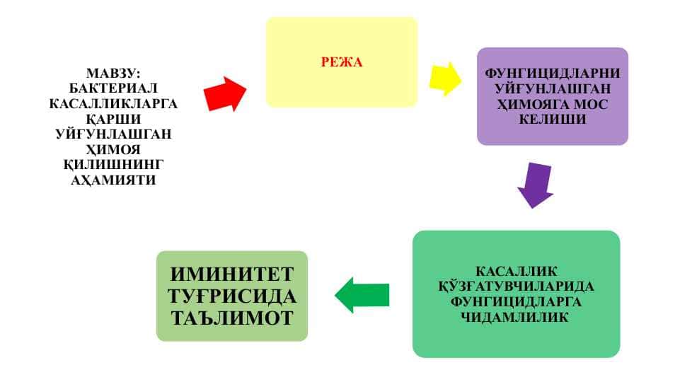 БАКТЕРИАЛ КАСАЛЛИКЛАРГА ҚАРШИ УЙҒУНЛАШГАН ҲИМОЯ ҚИЛИШНИНГ АҲАМИЯТИ