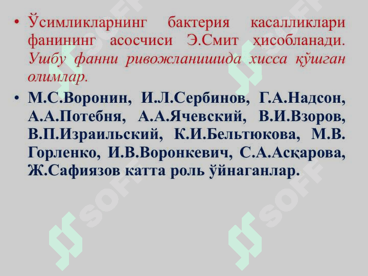 ФИТОПАТОГЕН БАКТЕРИЯЛАРНИНГ ХУСУСИЯТЛАРИ 4