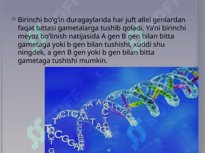 Plastik almashinuv. Oqsillar biosintezi. Genetik kod 6