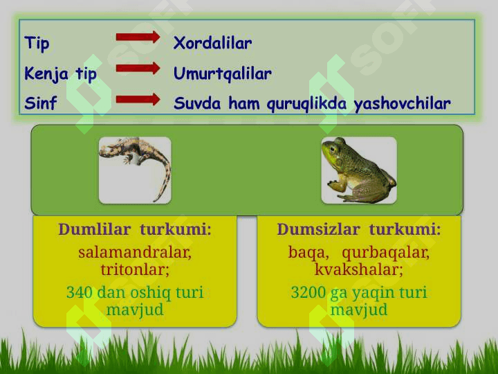 SUVDA HAMDA QURUQLIKDA YASHOVCHILAR SINFI 3