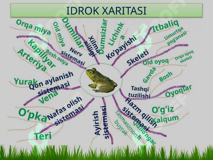 SUVDA HAMDA QURUQLIKDA YASHOVCHILAR SINFI 7