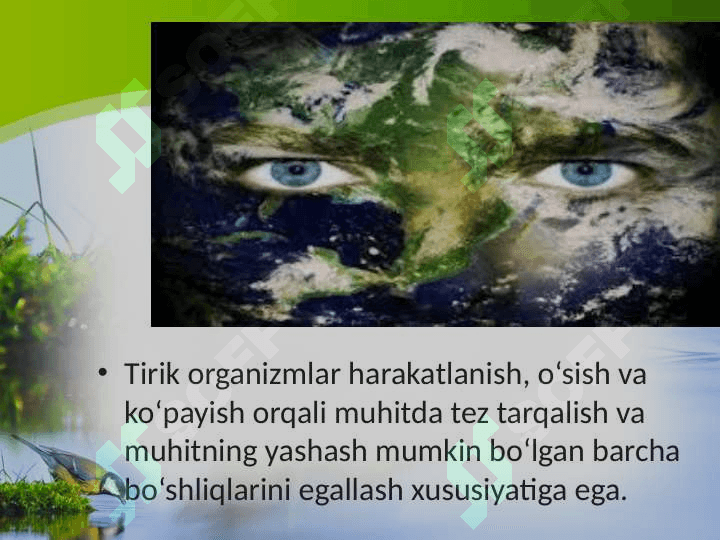Biosferadagi tirik moddaning xususiyatlari va funksiyalari 4