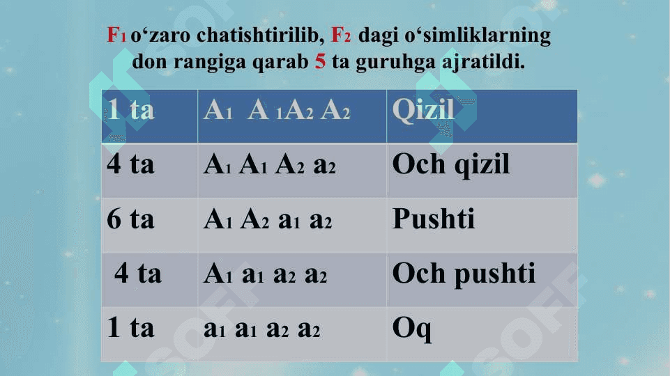 Genlarning polimer, ko‘p tomonlama ta’siri 6