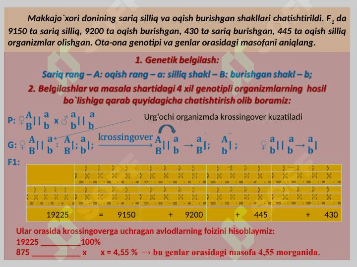 GENLARNING BIRIKKAN HOLDA IRSIYLANISHI 2