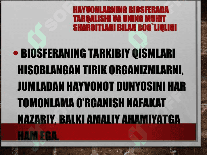 Hayvonlarning turli muhit sharoitlarga moslanishi 2