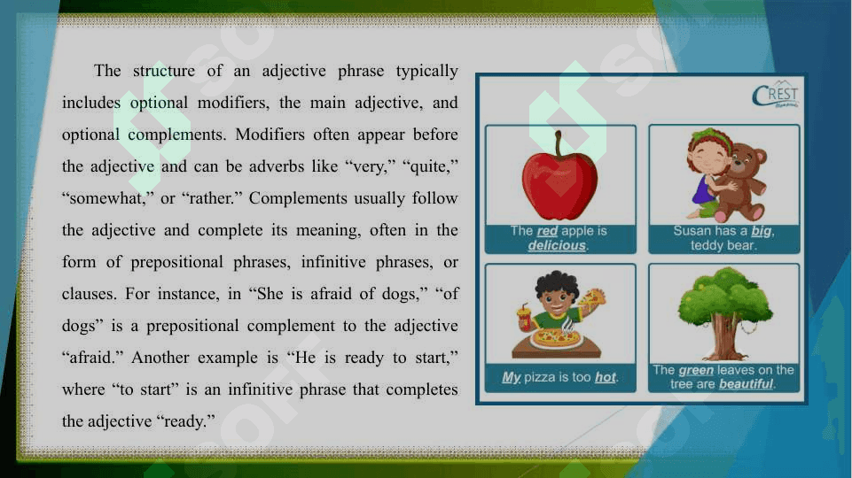 Levels of the adjective 4