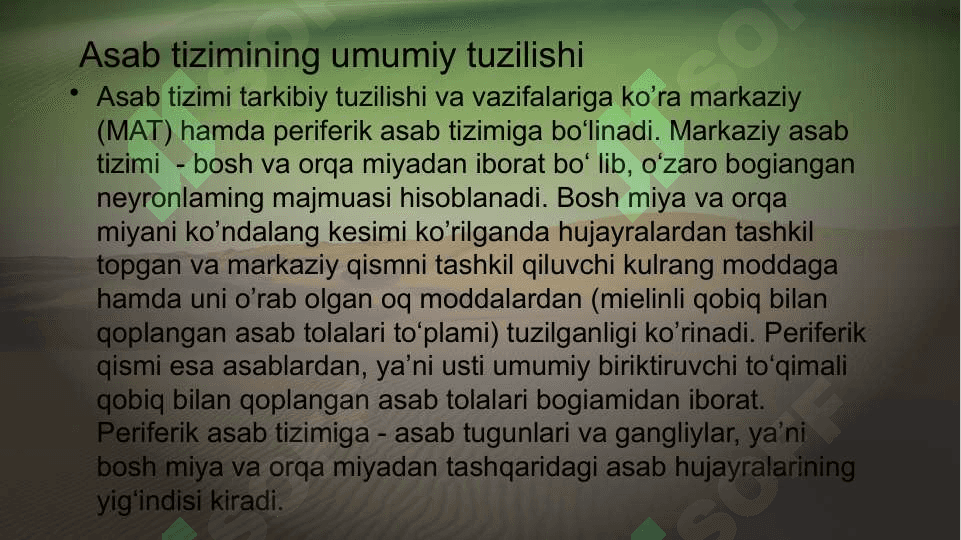 Asab markazlarinin o’ziga xosligi 2