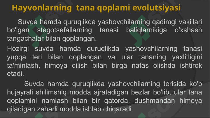 Hayvonlarning tana qoplami 5