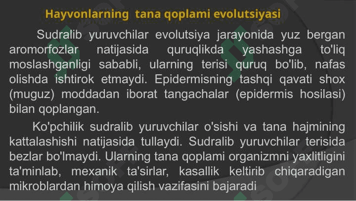 Hayvonlarning tana qoplami 7