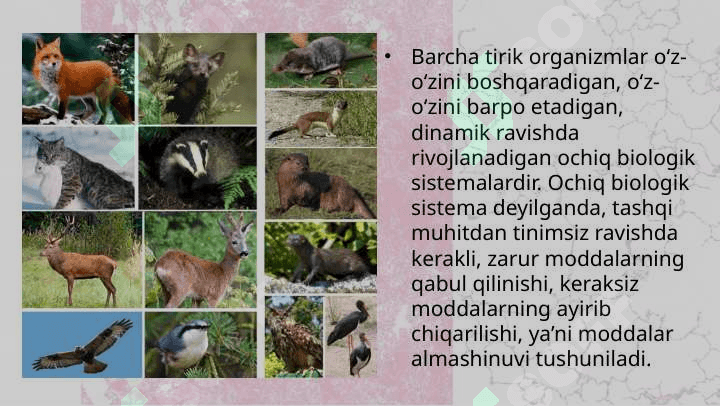 Hayvonlarning qon aylanish organlari 2