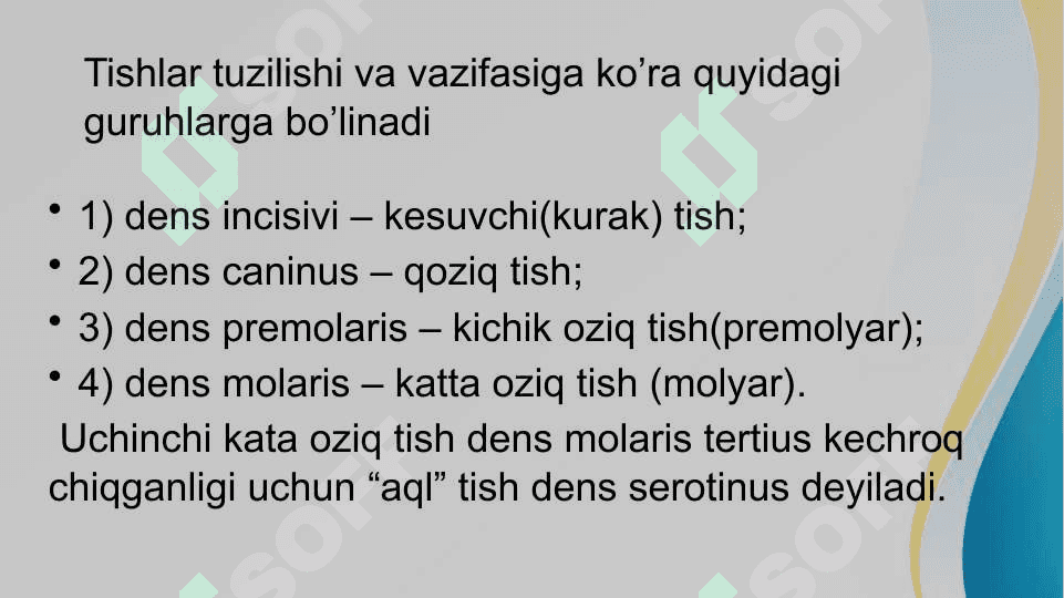 Tish belgilari norma va patologiyasi 3
