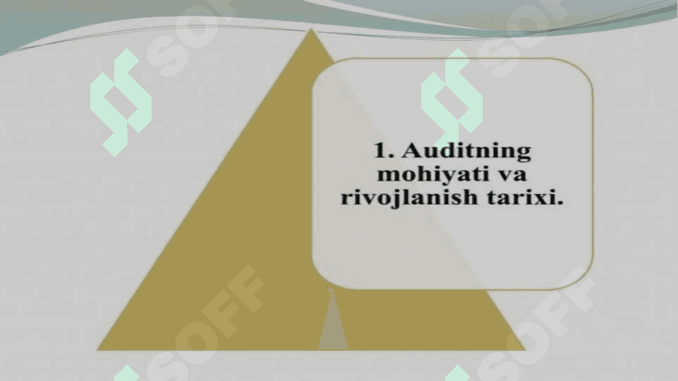 Auditorlik xulosasi va uning tarkibi 3