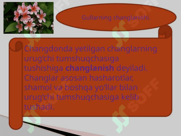 Gullarning changlanishi 3