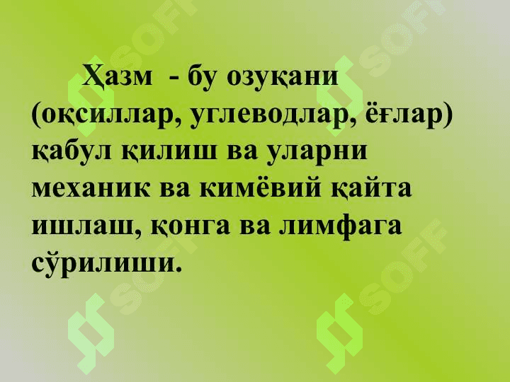 Ҳазм тизими физиологияси 3