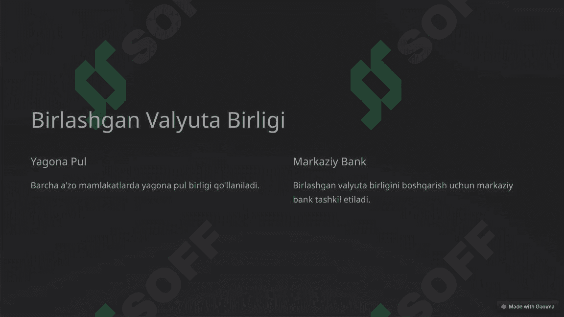 Valyuta Birligi: Muhim Tushunchalar 2