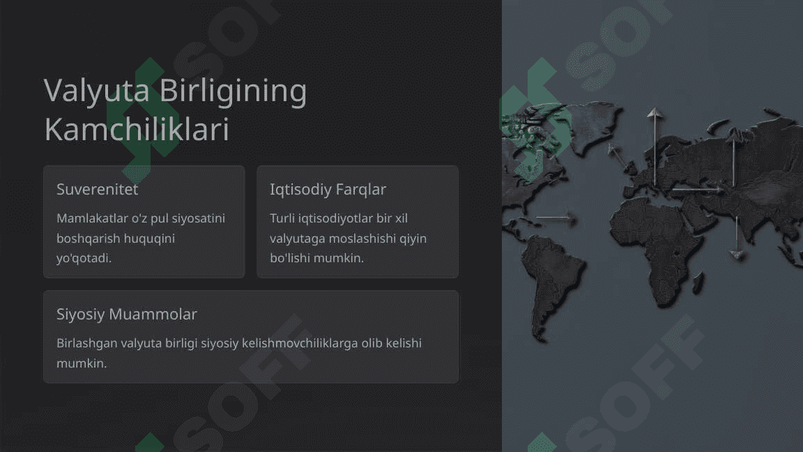 Valyuta Birligi: Muhim Tushunchalar 4
