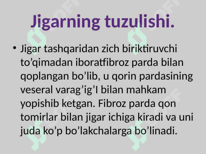 Jigar gistalogiyasi 2