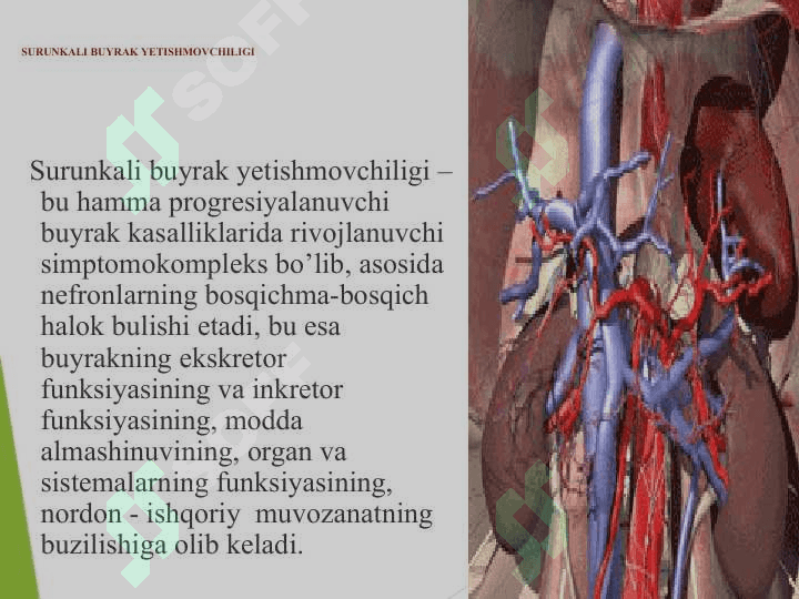 SURUNKALI BUYRAK YETISHMOVCHILIGI 2