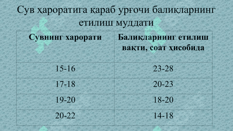 БАЛИҚЛАРНИ СУНЪИЙ УРЧИТИШ УСУЛЛАРИ 8